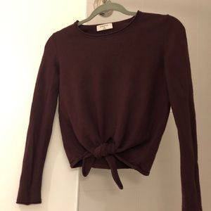 Aritzia cleveland sweater
